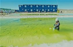 EXAR ES RECONOCIDA POR EL G20 EMPOWER POR SU MODELO DE DESARROLLO INCLUSIVO EN LA PUNA JUJEÑA.