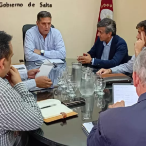 SALTA COORDINA ACCIONES PARA FORTALECER LA SEGURIDAD EN ZONAS MINERAS DE LA PUNA.