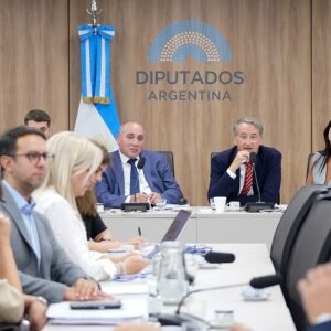 DIPUTADOS ABREN AUDIENCIAS PÚBLICAS PARA DEBATIR CAMBIOS EN LA LEY DE GLACIARES.