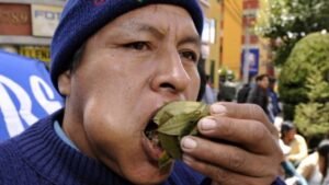 ATENCIÓN MINEROS: BUSCAN LEGALIZAR LA IMPORTACIÓN Y VENTA DE HOJA DE COCA EN ARGENTINA.