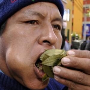 ATENCIÓN MINEROS: BUSCAN LEGALIZAR LA IMPORTACIÓN Y VENTA DE HOJA DE COCA EN ARGENTINA.