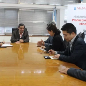POSCO PLANIFICA AMPLIAR SU PRODUCCIÓN DE LITIO CON UNA NUEVA INVERSIÓN EN SALTA.