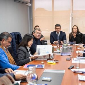 EL SENADO AVANZA EN EL ANÁLISIS DEL PROYECTO PARA TRANSFORMAR CAMYEN EN SOCIEDAD ANÓNIMA UNIPERSONAL.