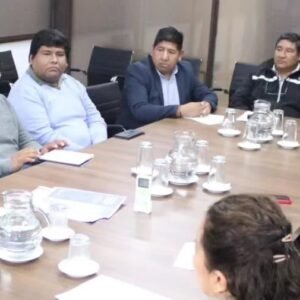 SALTA RECLAMA MAYOR PARTICIPACIÓN DE EMPRESAS LOCALES EN LA CADENA DE VALOR MINERA.