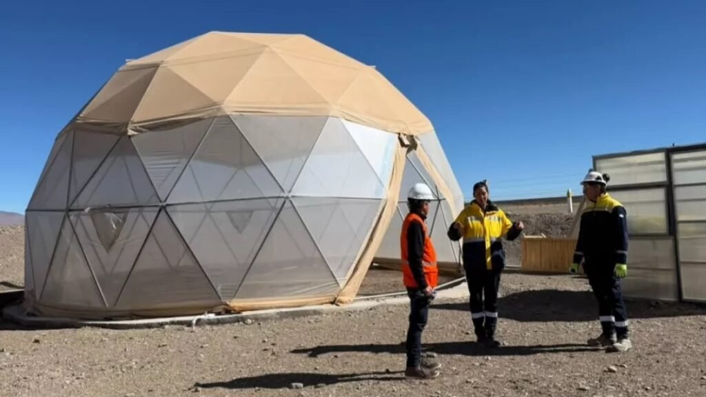 RINCÓN AVANZA CON UN BANCO DE SEMILLAS PARA PRESERVAR LA BIODIVERSIDAD DE LA PUNA.