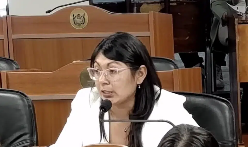 SENADORA DE ANTOFAGASTA PLANTEA UNA LEY PARA GARANTIZAR MAYOR IMPACTO LOCAL DE LA ACTIVIDAD MINERA.
