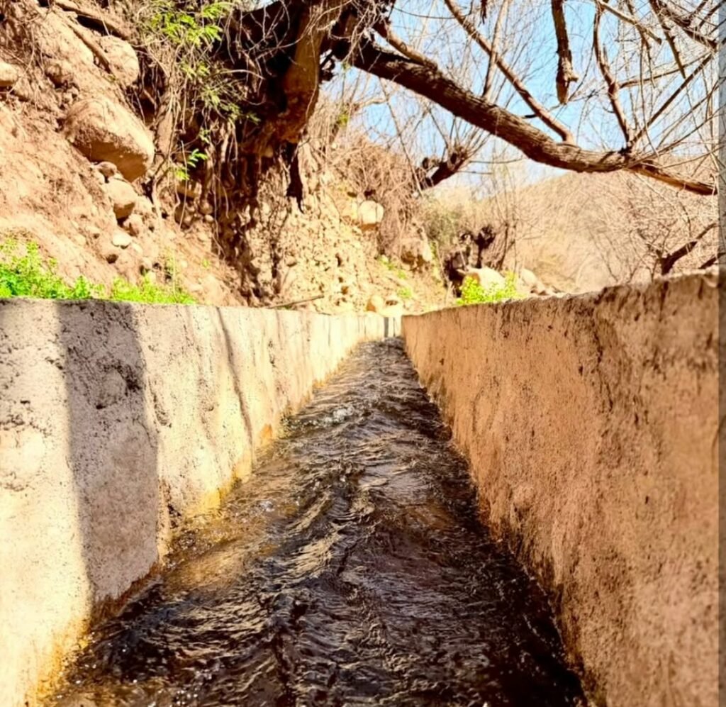 MARA IMPULSA JUNTO AL CONSORCIO DE RIEGO LA AMPLIACIÓN DE LOS CANALES DE EL POTRERO.